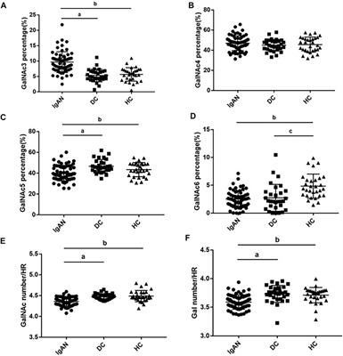 Diagnostic Potential of Plasma IgA1 O-Glycans in Discriminating IgA Nephropathy From Other Glomerular Diseases and Healthy Participants
